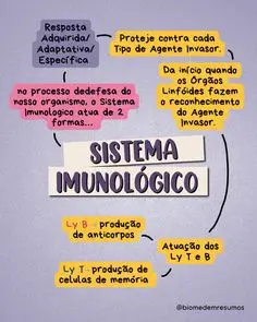 0dc5fcee410a9cbe7f3cc0c7b9286c8a