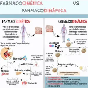 c3ef92d1a26bdb12c6b2c50205b2b5b4