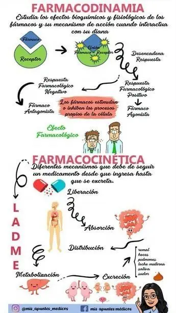 e5ef66cfe96fb57b216d6e2a93035525